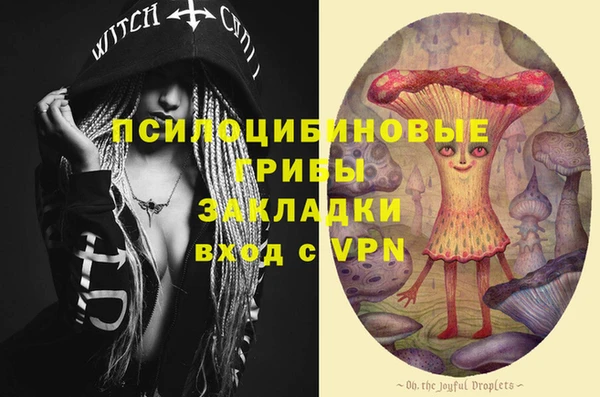 МДМА Алексеевка