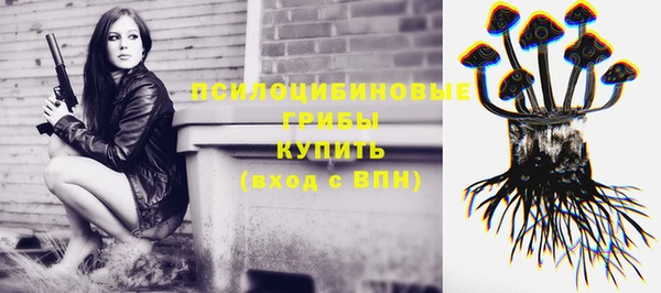 гашик Алзамай