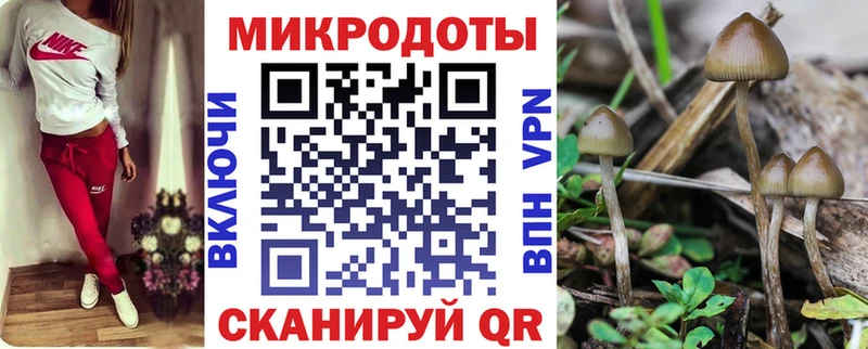 Галлюциногенные грибы GOLDEN TEACHER  Щигры 